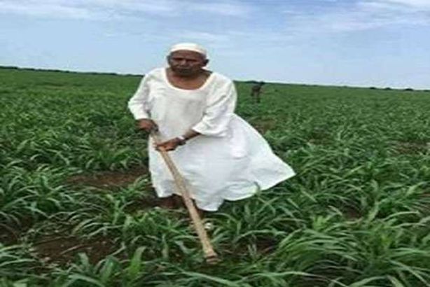 صورة مؤثرة.. "حاكم كردفان " يمارس مهنة الفلاحةؤ