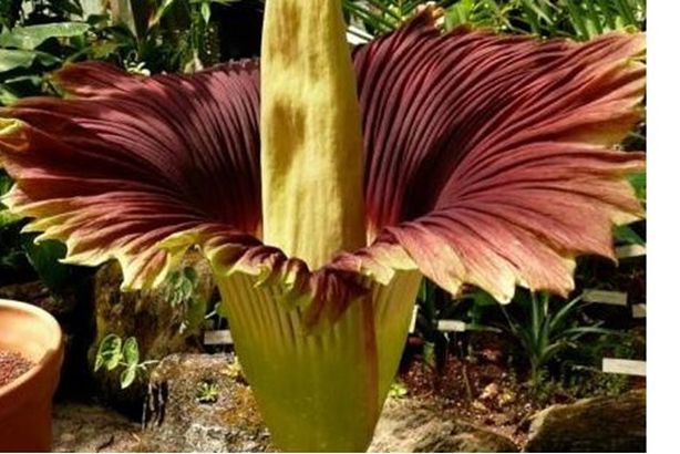 189593167_2800081776909698_6450163889343855507_n