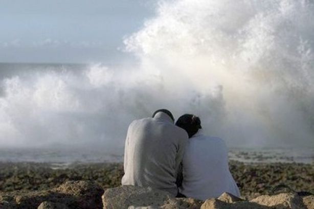 media-GRGQG-GFRXGPLX-GFPPL-LLPXR-GFRXGSQPPL-LLPXR-GFRXGSPFFGXR-X-WFGGSXMGLF