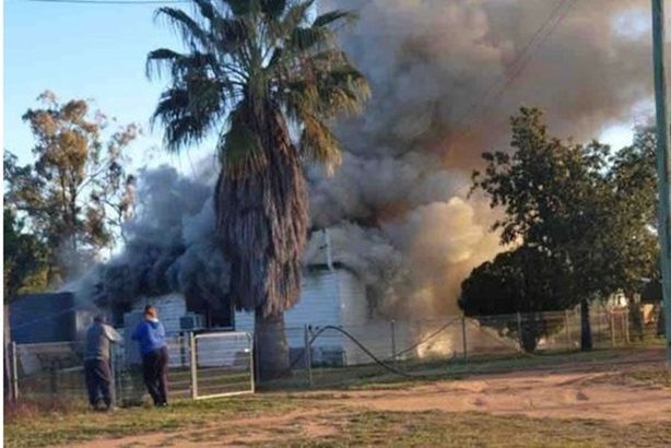 الفئران  حرقت منزلاً وشردت الأسرة