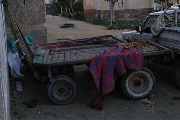 194117937_1272979803104225_2703872025179462096_n