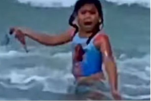 أنيلا ريزينتس