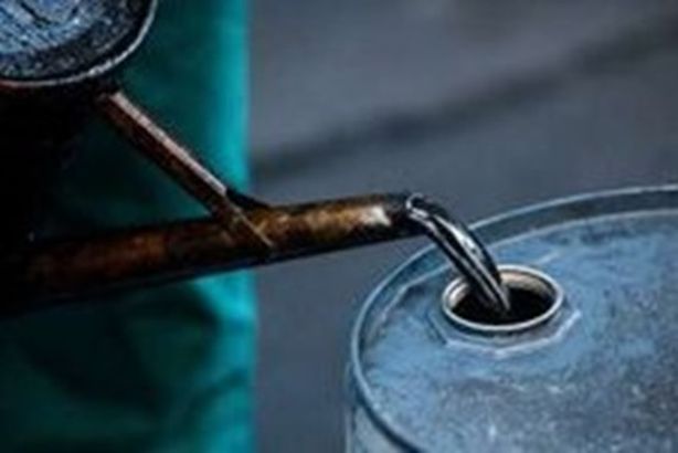 10070143071539198424