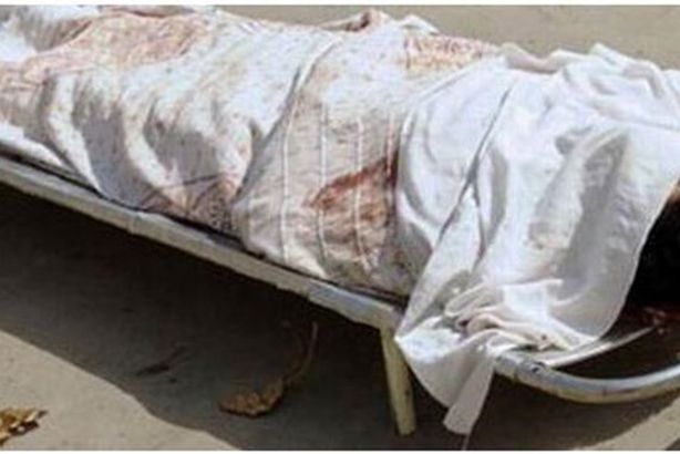 2014-635270351695352599-535_main