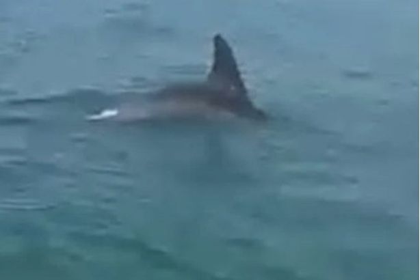 28602f71-45b4-45bb-8cc7-af1def477d6b