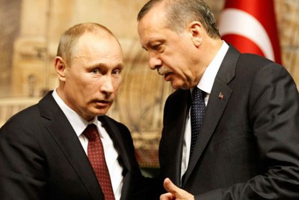 لقاء بين بوتين وأردوغان على هامش قمة العشرين