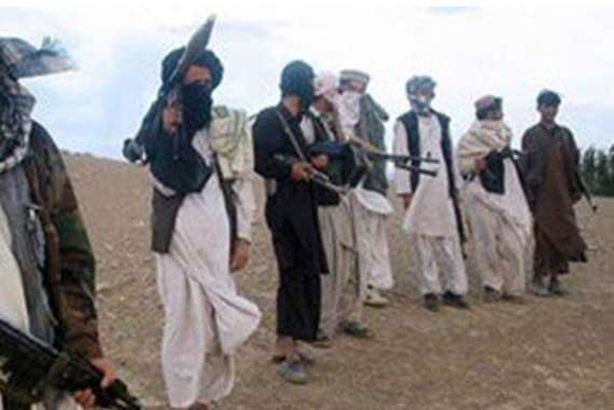 حركة طالبان