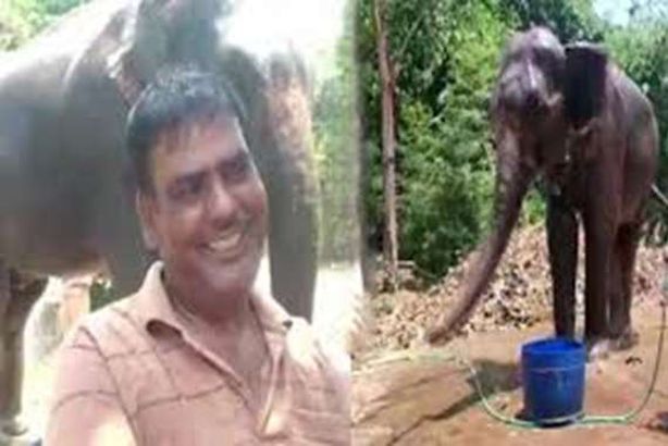 يحرم زوجته وأطفاله.. ويسجل تركته لفيلين