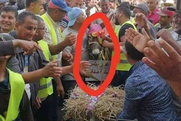 وصفوا بالحمير فقاموا بتكريم الحمار..غضب عمال البلدية بدولة عربية