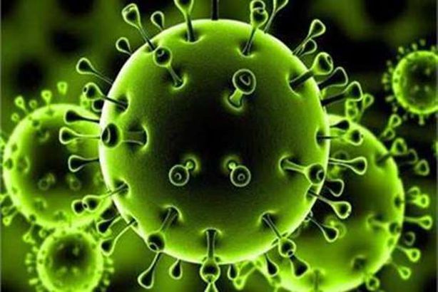دراسة: تحور فيروس كورونا ليصبح أكثر عدوى