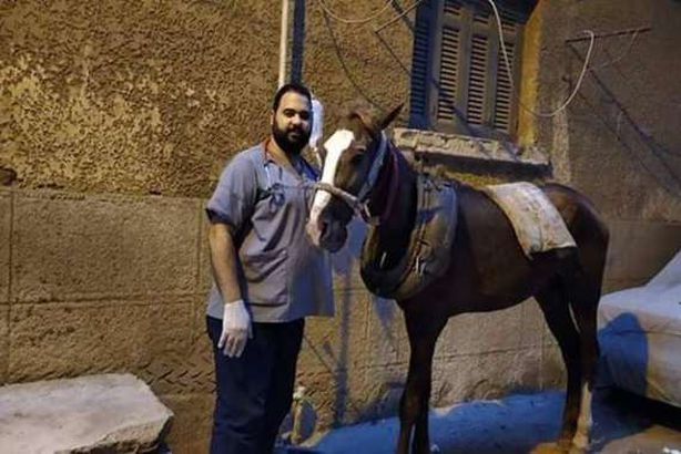 صورة من الواقعة