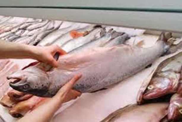 دولة أوربية تكشف معلومات صادمة عن علاقة "السلمون" بكورونا