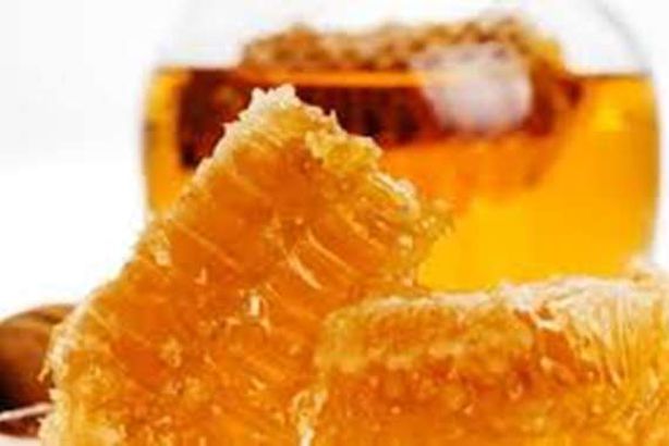 رئيس جامعة دمنهور: توصلنا لعلاج لرفع المناعة ومواجهة كورونا