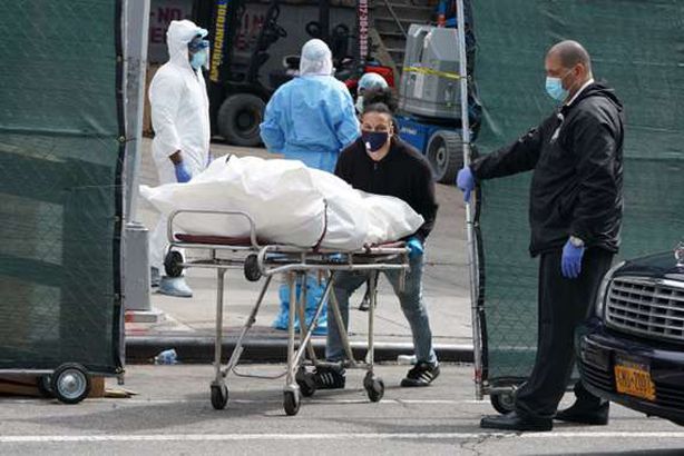 كورونا أمريكا