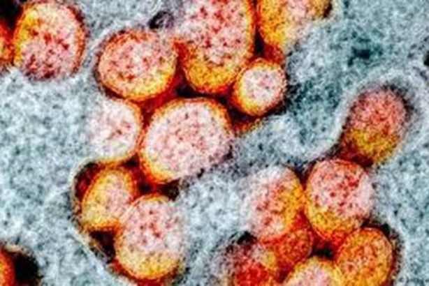 وباء غير كورونا