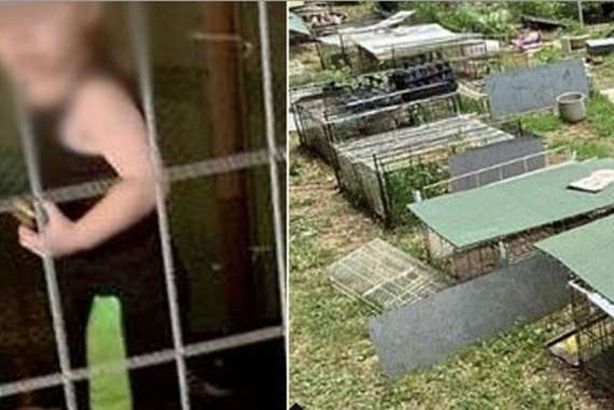 الطفل المحبوس