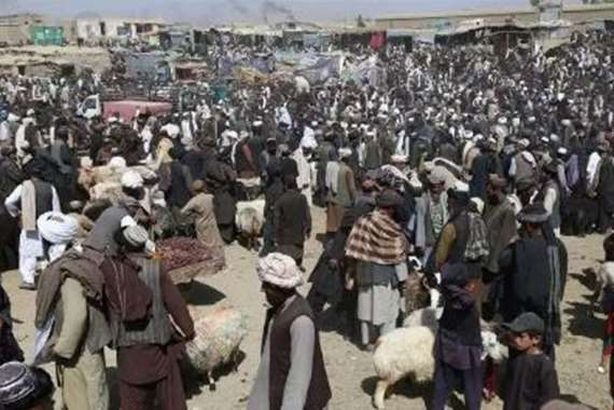 سوق مواشي في أفغانستان