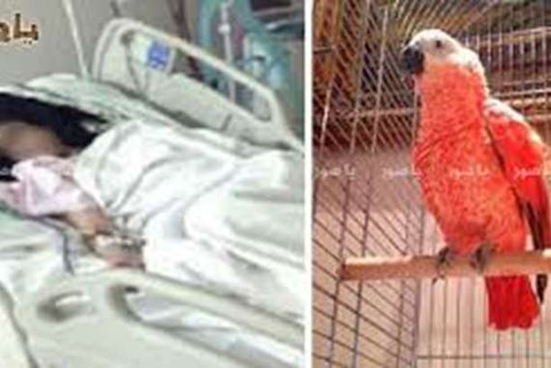 هزت دولة إسلامية.. مقتل طفلة عمرها 8 سنوات تعمل خادمة