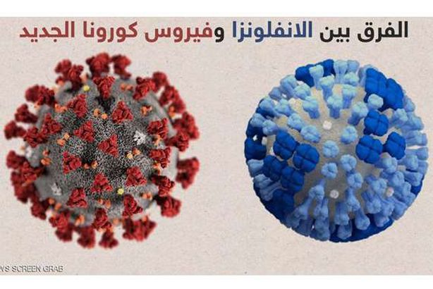 كورونا و الانفلونزا