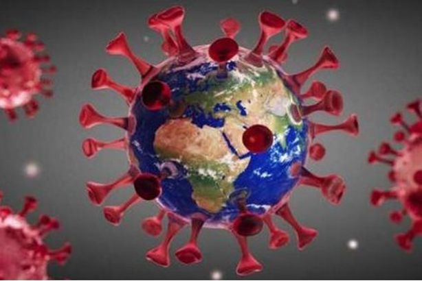 الفيروس الهندي