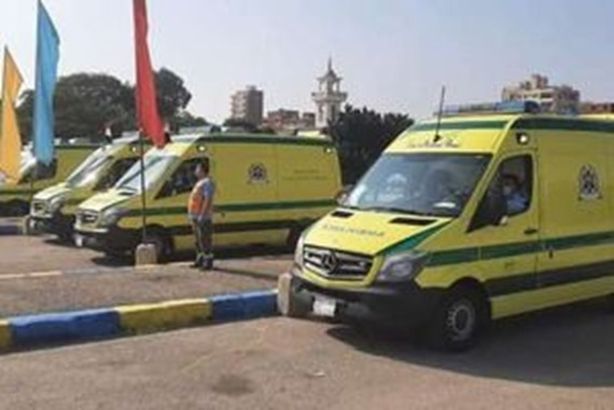 18330346111612712305