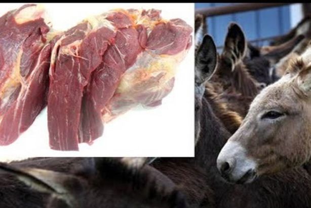 لحوم حمير