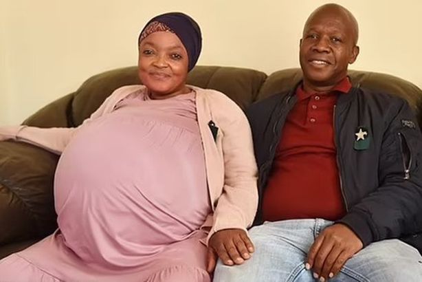 d7e65eaf-79bf-4ea2-a7ff-4dbab8ed54c7