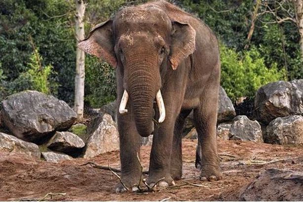 feced69bb4fc7794e753ae9753ef4475