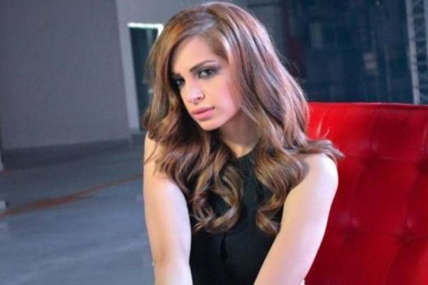 173-104929-amal-maher-youtube-hani-shaker_700x400