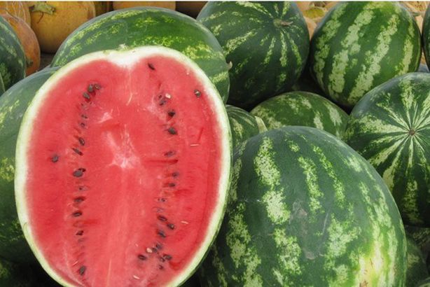 1041582930_0_180_1920_1260_2072x0_60_0_0_ab0452774410cd63f262af3b7276d717