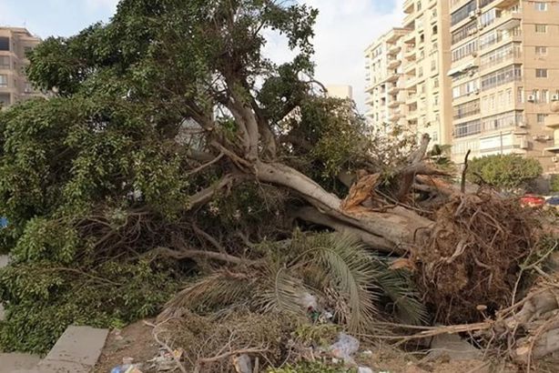 66716d1c4236041af937e9cb