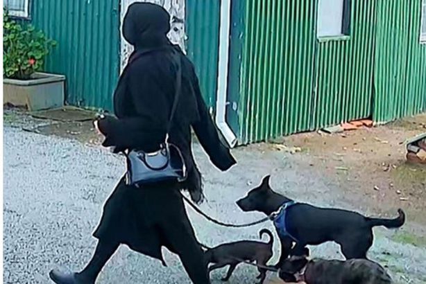 6860cfee4c59b731770a6ec3