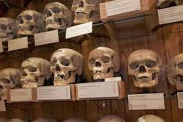 سخرت من "جماجم الشهداء".. هذا ما حدث لفنانة شهيرة