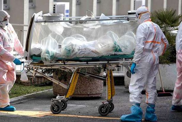 تسجيل 593 إصابة جديدة بكورونا في الجزائر