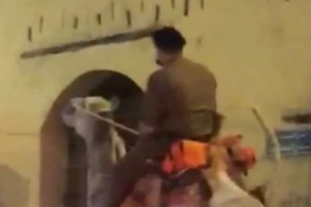 يركب جملا بزي عسكري