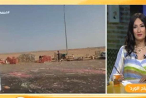 صورة من الواقعة