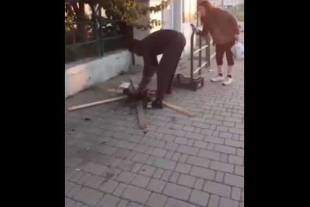 يشوي قطة أمام أعين المارة.. ماذا حدث