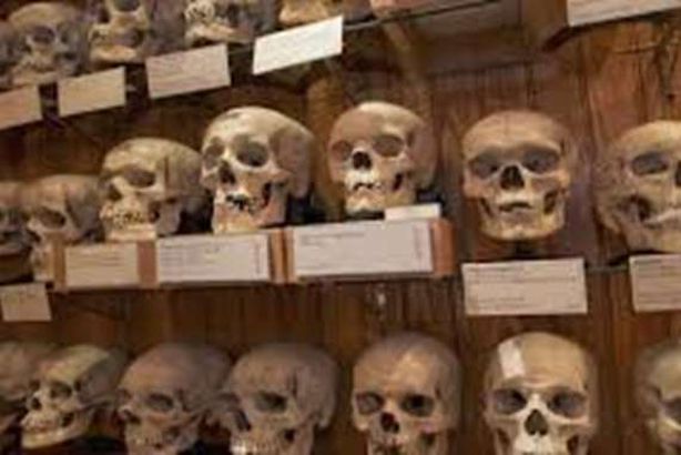 الفتوى بالجزائر تمنع الصلاة على جماجم الشهداء لهذا السبب