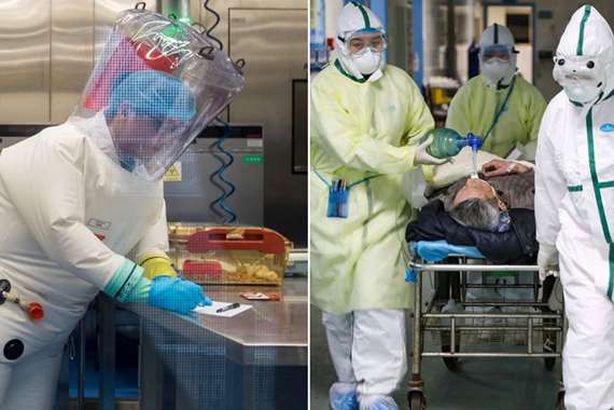 الصين: العثور على سلالة قريبة من كوورنا قبل سبع سنوات
