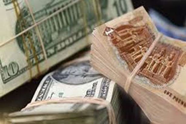 الدولار يستقر أمام الجنيه في تعاملات اليوم