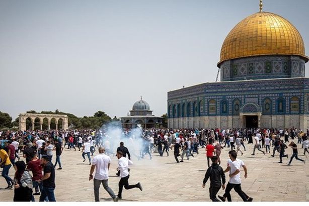 thumbs_b_c_7a0cd8648b7eeb86e42bdc4c876fb76a