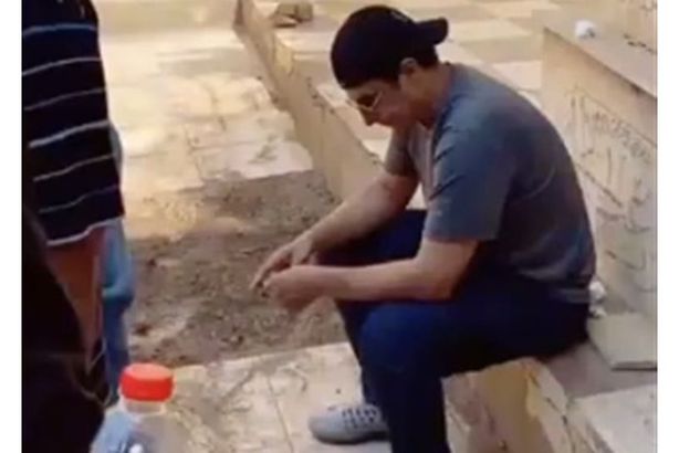 133-191409-ehab-tawfik-alaa-abdel-khalek-7