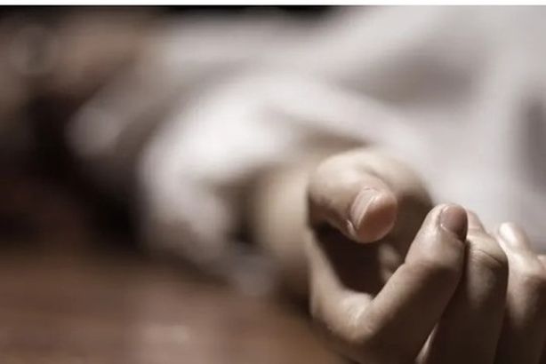 27464e5a-cd78-4d4e-a5f6-0f23537b3963