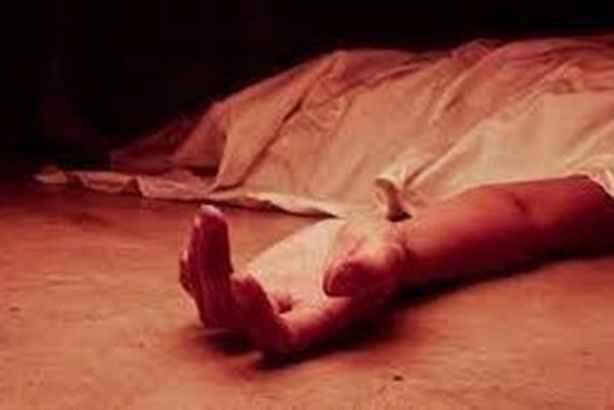 2023_3_24_2_11_55_572