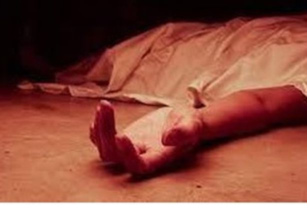 2023_3_24_2_11_55_572