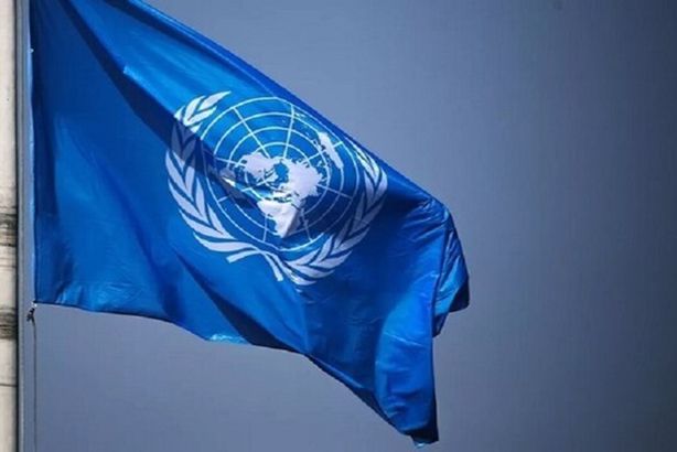 66a8e0ea4c59b7231836ed17