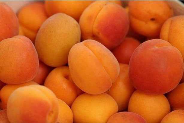 2023_6_8_17_53_30_933