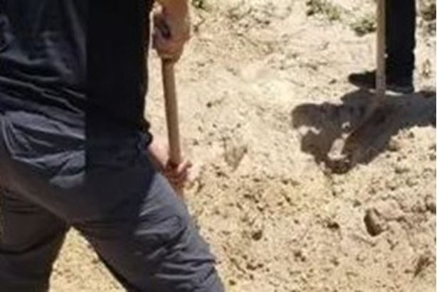 2023_11_28_10_57_23_531