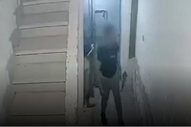 12a393c8-dea3-4ba5-bf4e-7560d07a17b2