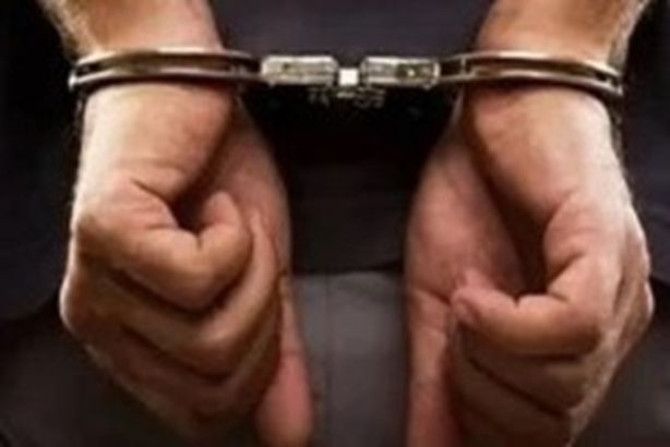 33319aea-686d-4fda-a787-1310d607c741